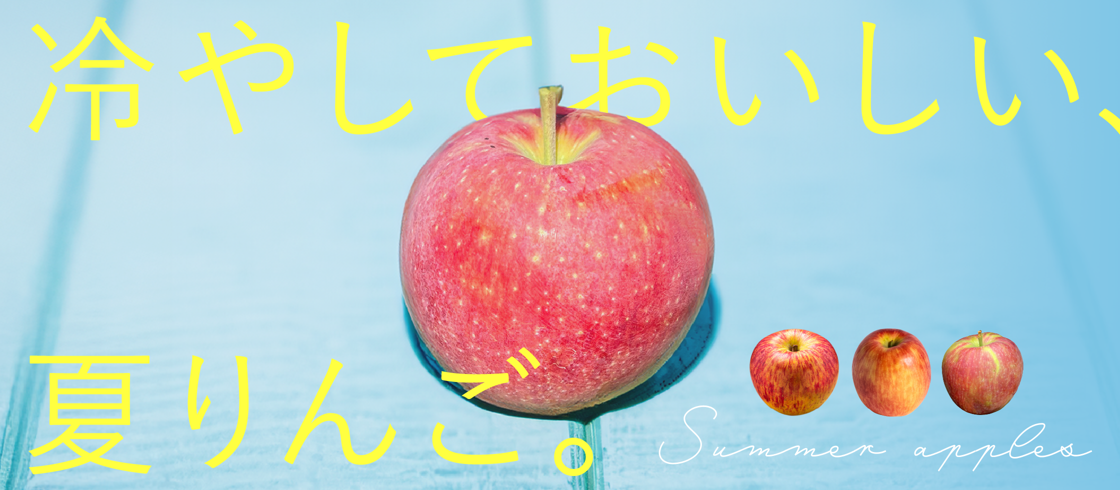 スライド画像