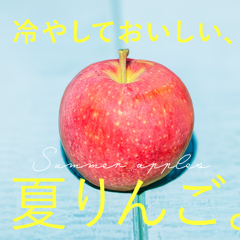 スライド画像