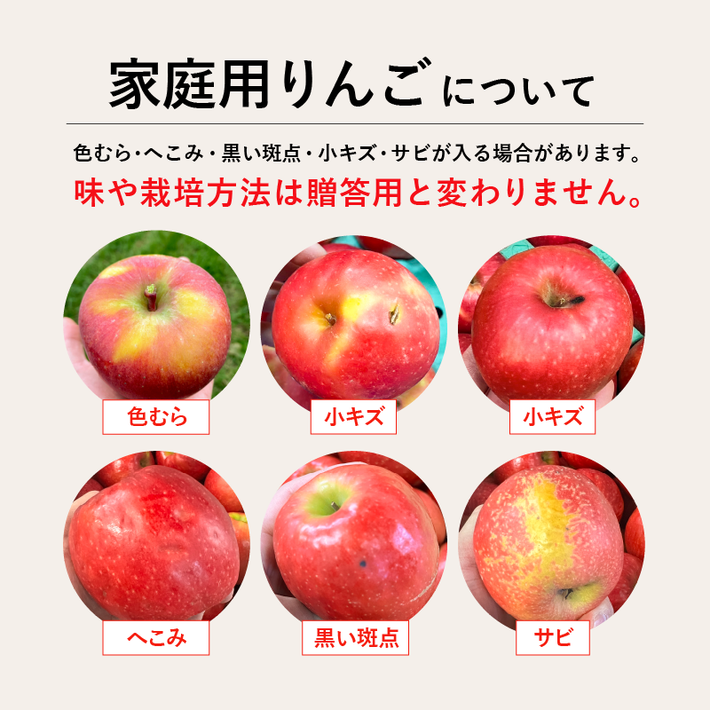 シナノリップ 家庭用10kg箱