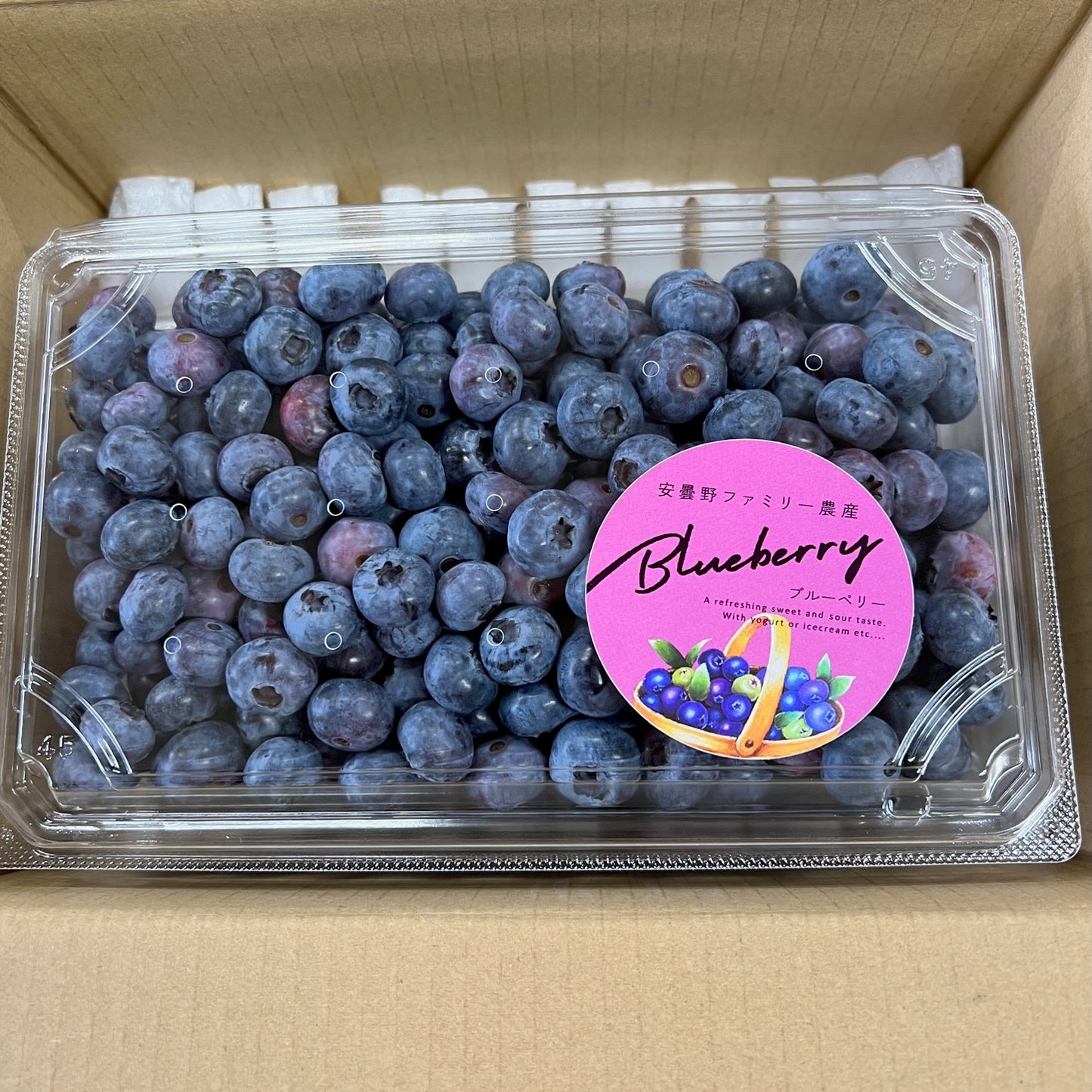 ブルーベリー 約1kg