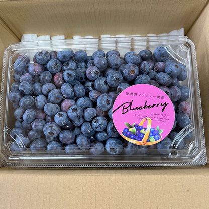 ブルーベリー 約1kg