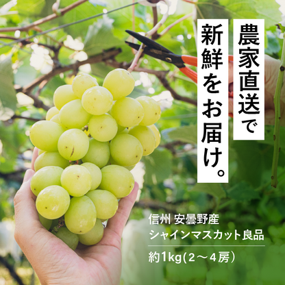 シャインマスカット約1kg（2～4房）