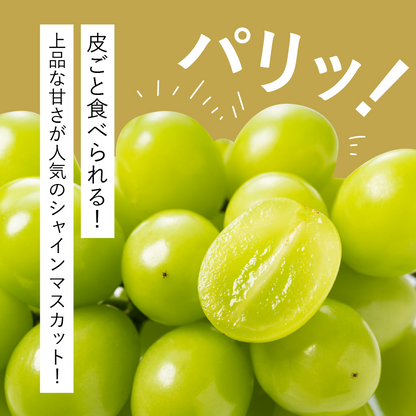 シャインマスカット約1kg（2～4房）