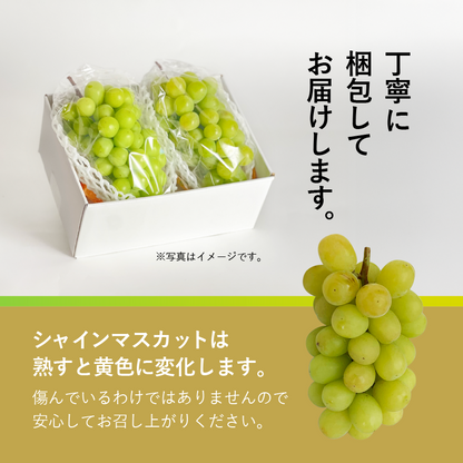 シャインマスカット約1kg（2～4房）