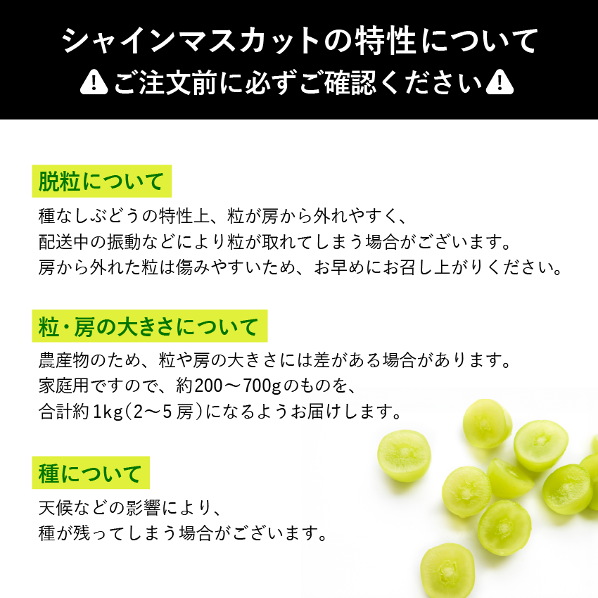 シャインマスカット約1kg（2～4房）