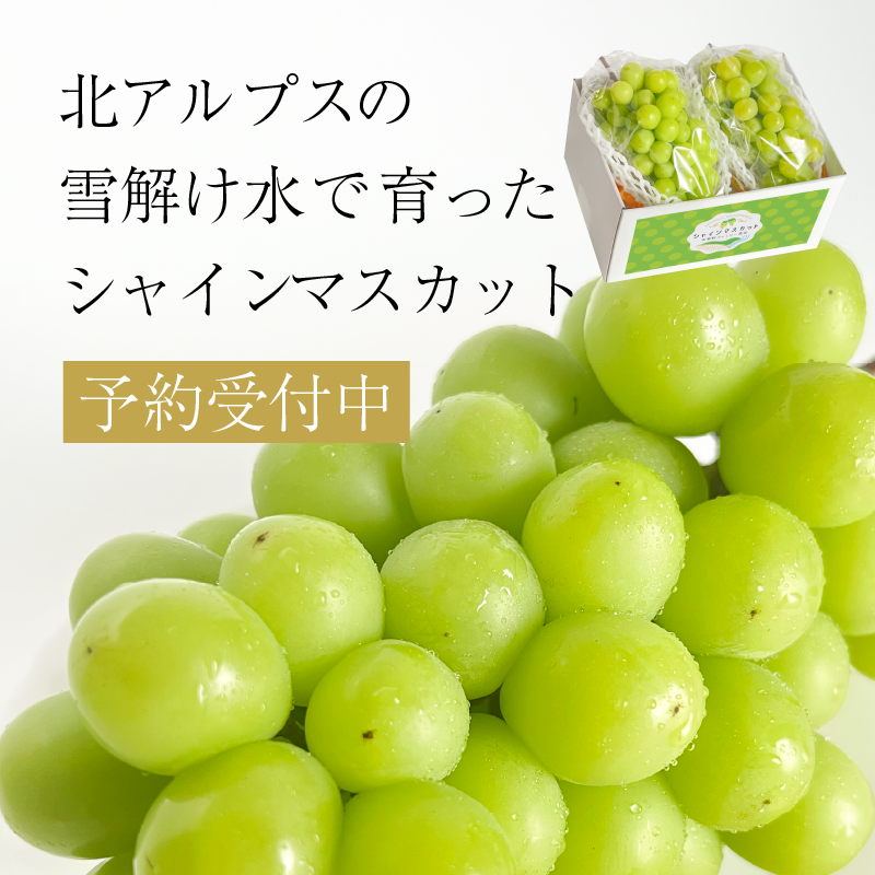 スライド画像